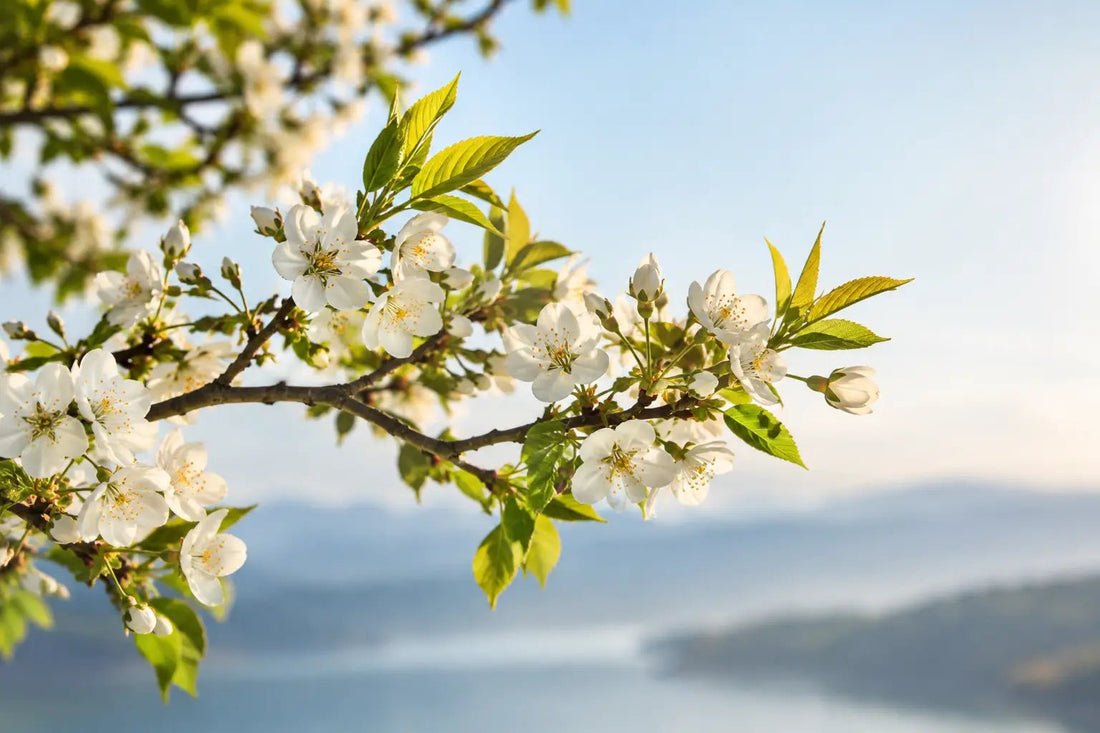 Heavenly Stems Earthly Branches Meaning, Explained
